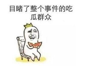 吃瓜事件是什么意思,网络舆论场中的热点追踪与反思