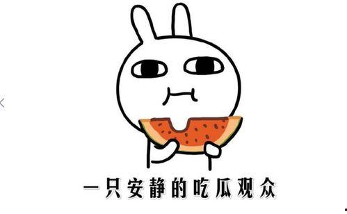 吃瓜事件是什么意思,网络舆论场中的热点追踪与反思