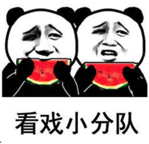 搞笑娱乐吃瓜图片高清版