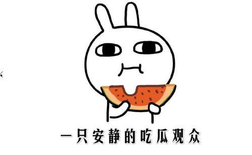网络上的吃瓜是什么意思,“吃瓜”背后的含义与趣味