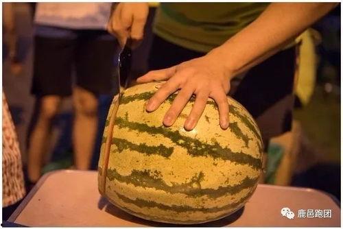 趣味吃瓜比赛,趣味吃瓜大赛欢乐无限