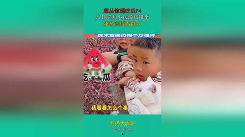 吃瓜宝宝娱乐,揭秘娱乐圈幕后故事，带你领略明星真实生活