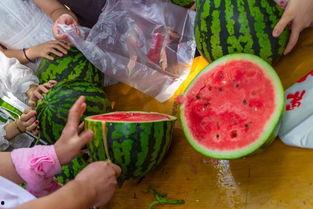 网络吃瓜视频,揭秘娱乐圈幕后故事