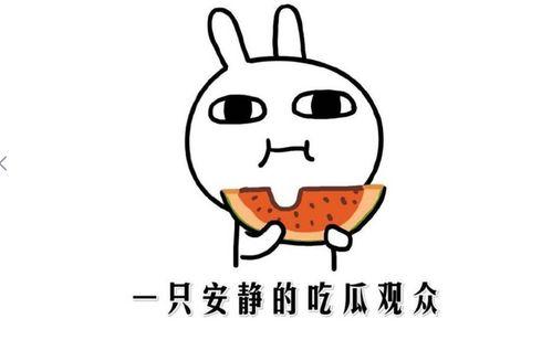 我在吃瓜是什么意思,网络热词背后的文化现象