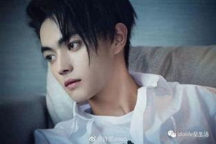 吃瓜娱乐八卦白鹿许凯,吃瓜娱乐八卦中的甜蜜邂逅  第2张