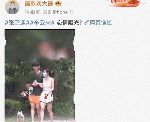 娱乐圈吃瓜劲爆视频大全,劲爆视频大盘点，吃瓜群众必看！  第3张